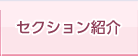 セクション紹介