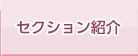 セクション紹介